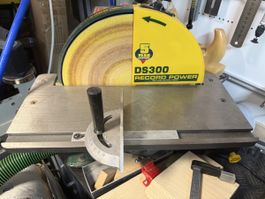 Tellerschleifmaschine Record Power DS300 gebraucht