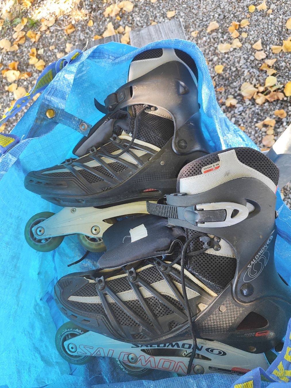 Inline-Skating & Rollschuhe: Rollerblades 48 – Gebraucht aus St. Margrethen SG von asi_zmv6
