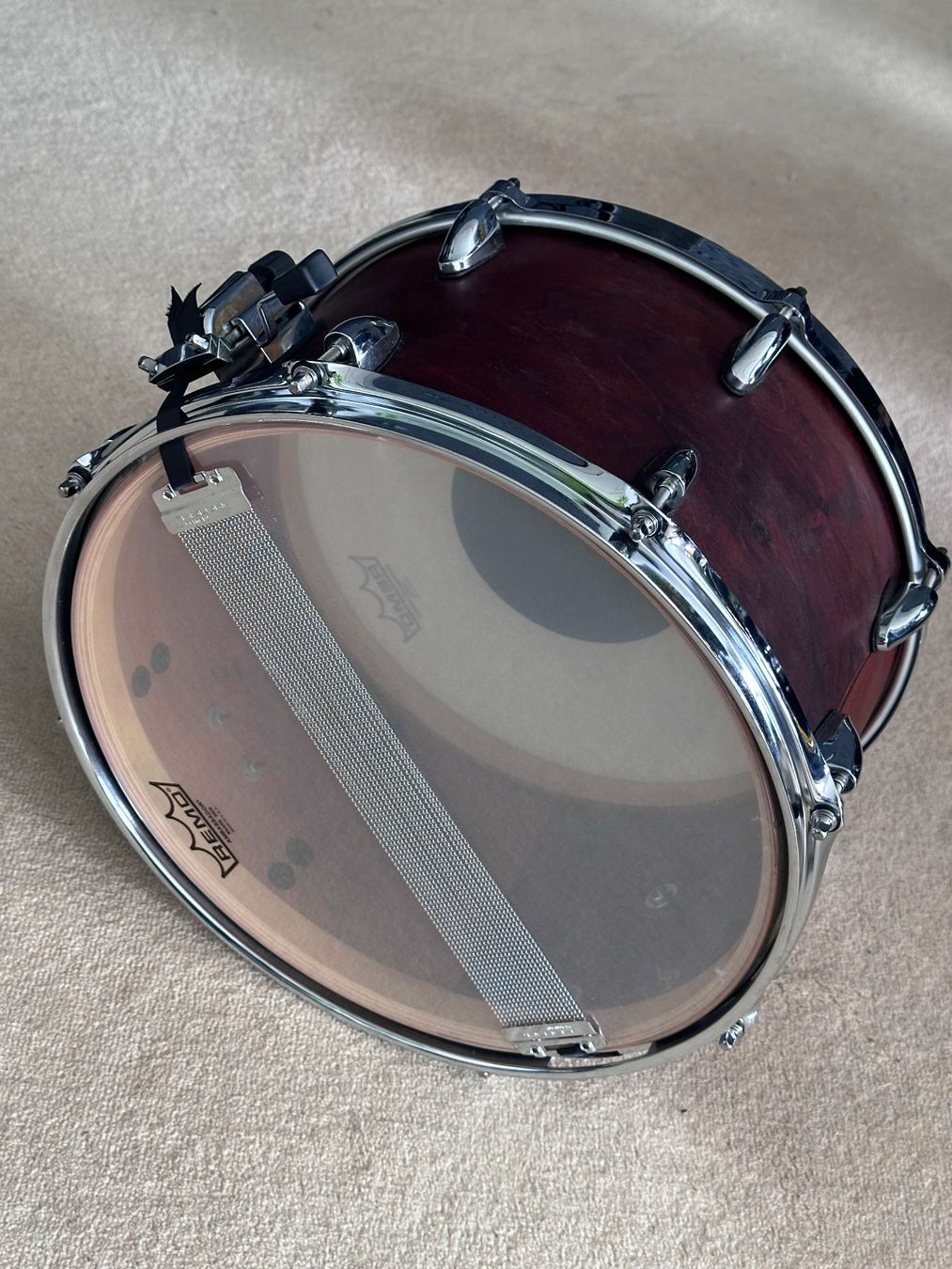 Strumenti musicali: Snare Drum14x8 "BANG" – Usato da Dachsen venduto da ColdChisel 1