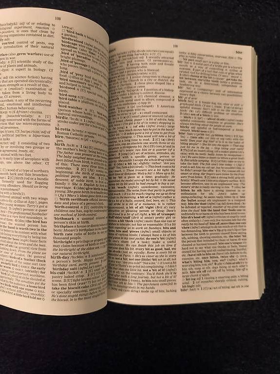 Libri: Oxford Advanced Learners Dictionary – Usato da Sempach venduto da Outletinoo 2