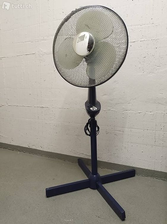 Ventilatore a piedistallo 1