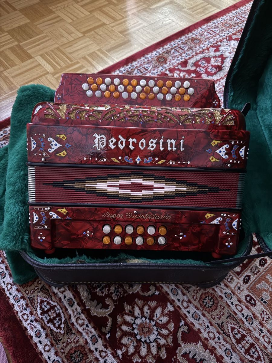 Strumenti musicali: Pedrosini Super Castelfidardo, Örgeli mit Koffer – Usato da Altendorf venduto da ally27 1