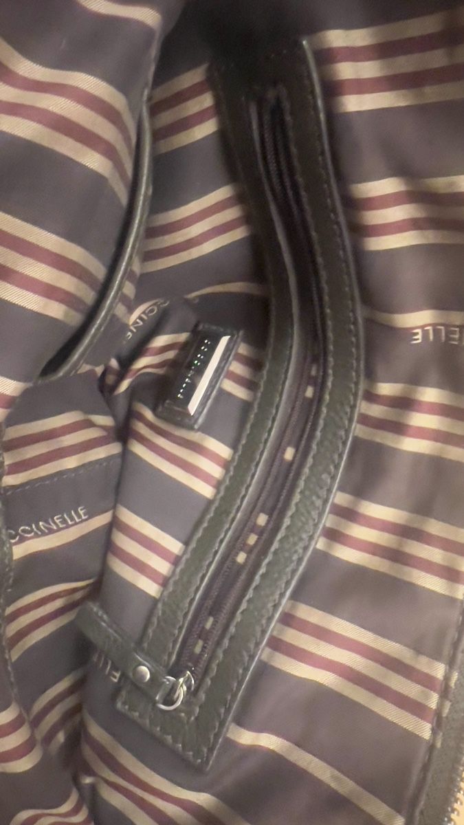 Coccinelle Taschen für Damen: Borsa di mano  coccinella  usata – Gebraucht aus Bre sopra Lugano von Carolina-JM 4