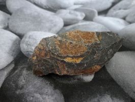 Stromatolith roh