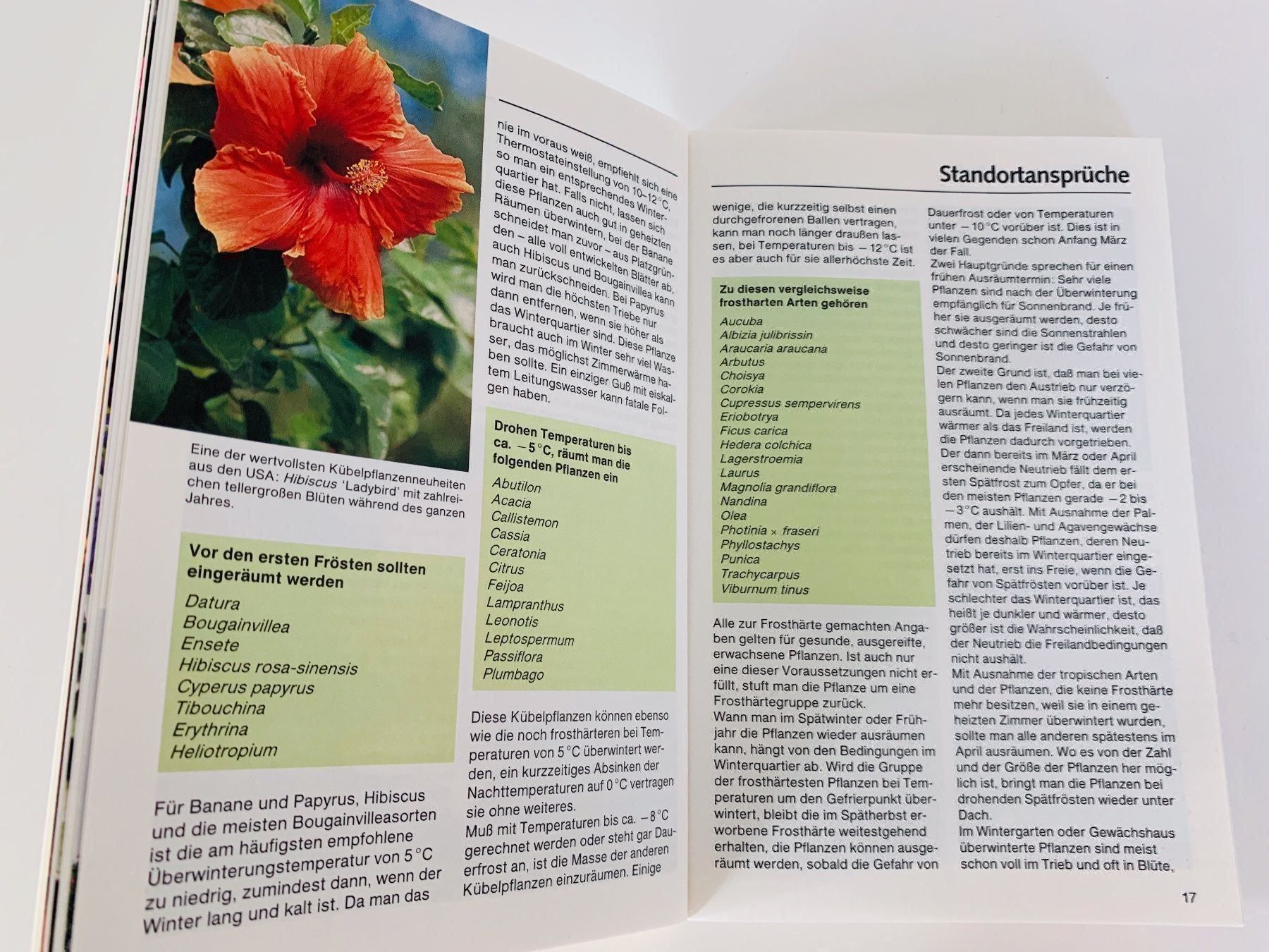Libri: Die schönsten Kübelpflanzen – Usato da Bottmingen venduto da marktplatz-buecher 1