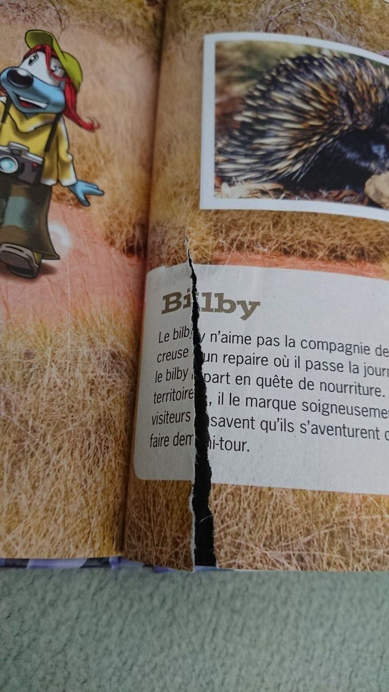 Libri: Lilibigs / Mountain Mania – Usato da Cortaillod venduto da signep 4