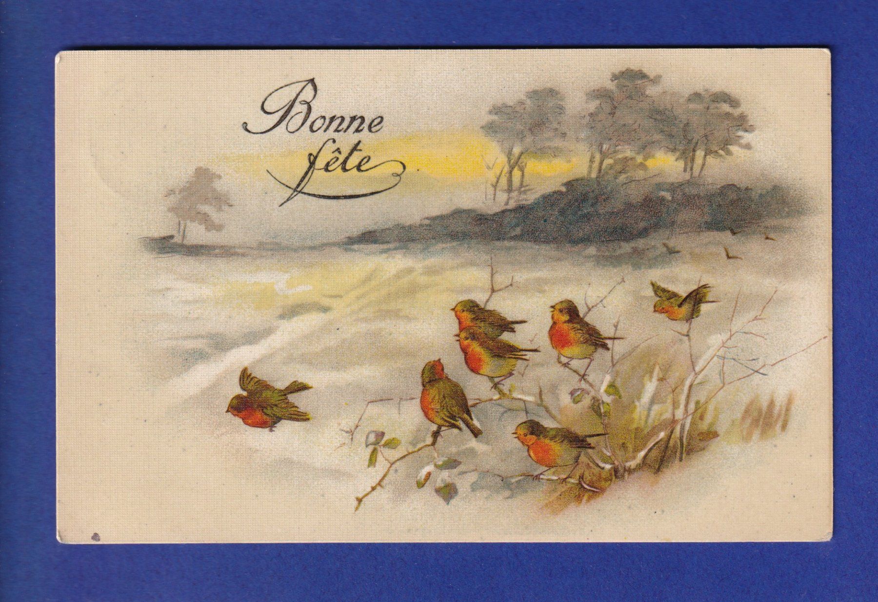 Cartoline postali: OISEAU - Rouges-Gorges – Usato da Pully venduto da nicecards-shop