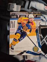 Adam Tambellini HC Davos  2025/26 Sportzoo