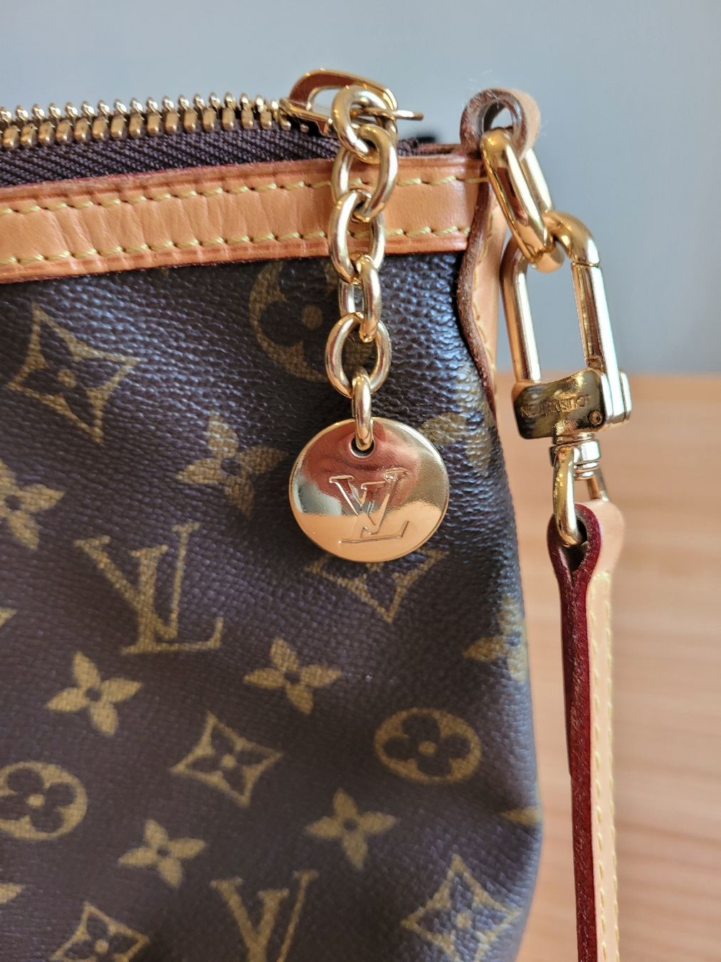Louis Vuitton Borse da donna: Louis Vuitton Palermo PM – Usato da Bern venduto da karin3007 3