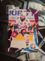 Thierry Bader ZSC Lions 2025/26 Sportzoo Pink
