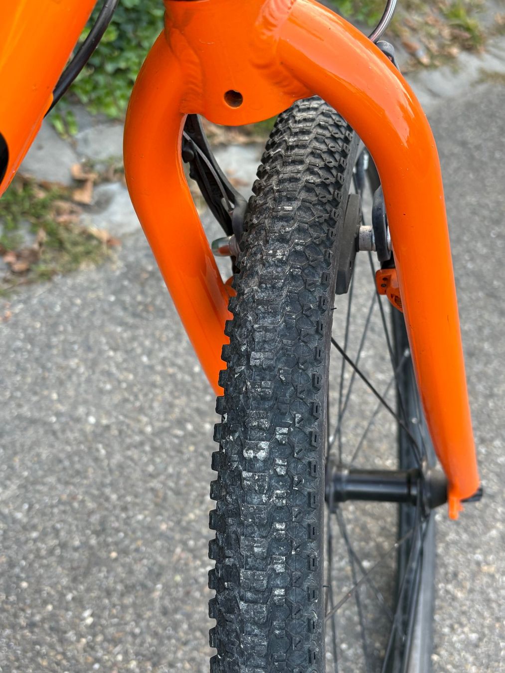 Naloo Velos: Naloo Chameleon MK2 24“ – Gebraucht aus Zürich von Gabriela_Zuerich 7