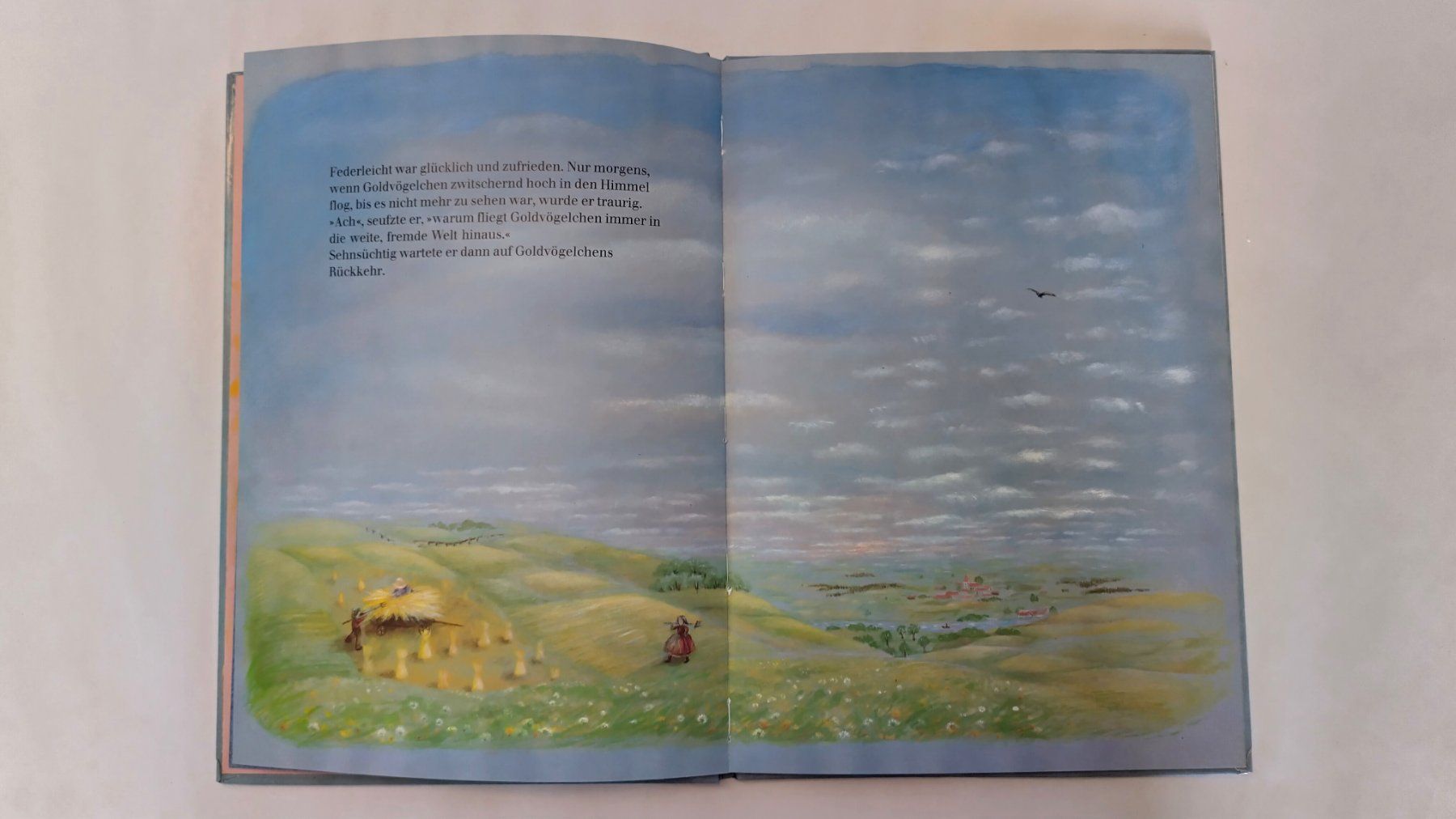 Libri: Federleicht / Bilderbuch von  Gabriele Gernhard Eichenauer – Usato da Bellach venduto da JingleJerry 6