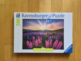 500er Puzzle: Lupinen