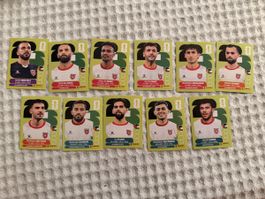 Panini WM Sticker Set Vereinigte Arabische Emirate 11 Stk