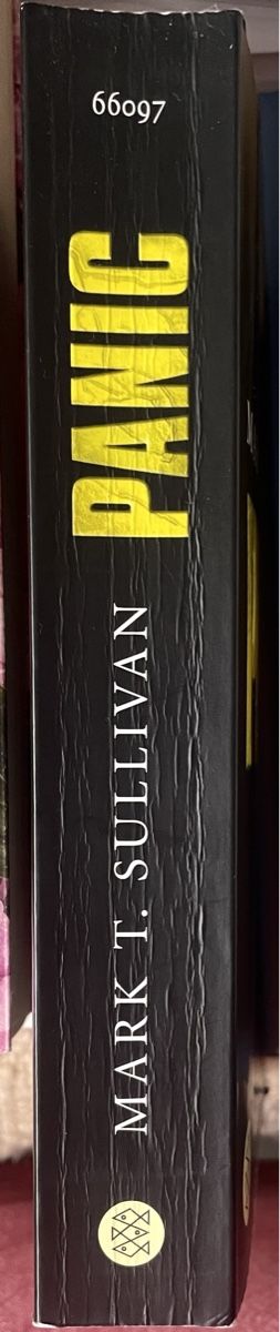 Libri: PANIC - MARK T. SULLIVAN - THRILLER - TASCHENBUCH – Usato da Buchs AG venduto da fischli610 2