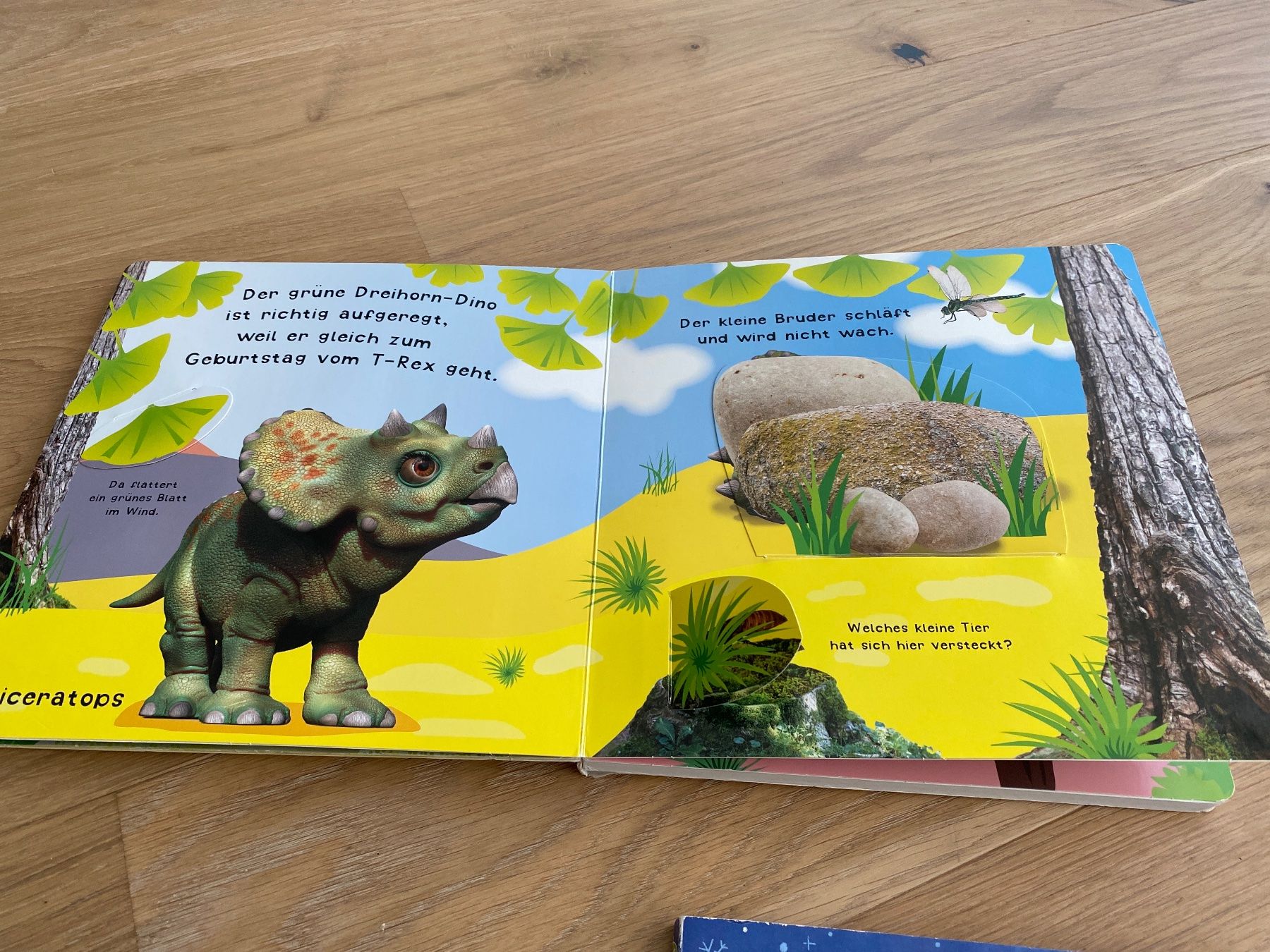 Libri: Kinderbücher – Usato da Bolligen venduto da Noeggeli10 1