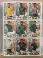 Panini Road to 2014 FIFA World Cup Brazil - Ireland