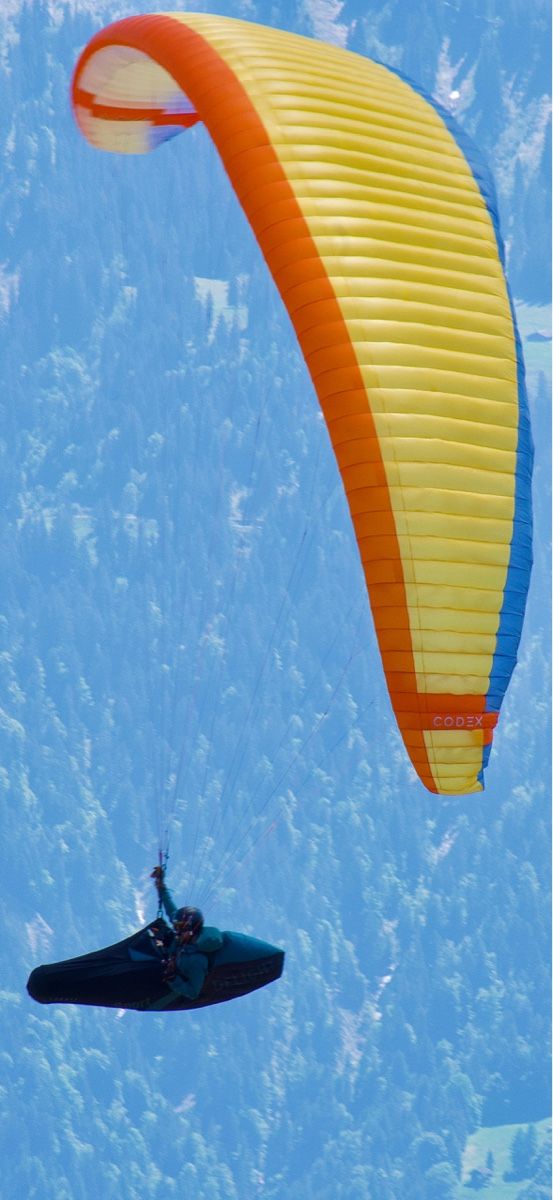 Nova Sport dell'aria & Aquiloni: Noca Codex Gold XS 70-95kg – Nuovo (secondo la descrizione) da Interlaken venduto da hallo35641 1