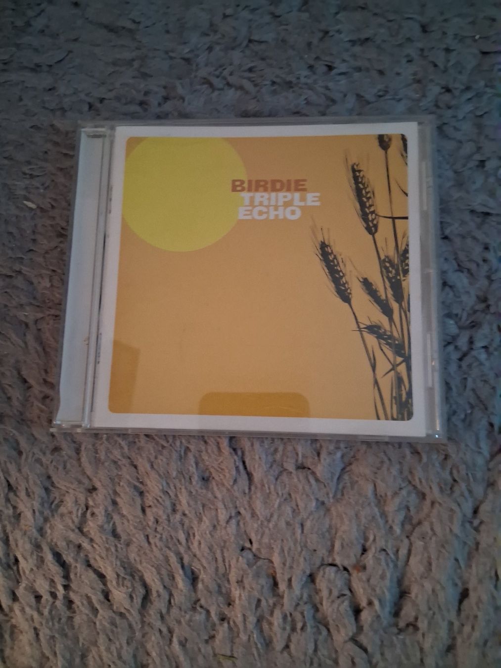 CDs: BIRDIE   TRIPLE ECHO     CD – Gebraucht aus Wetzikon ZH von Ramones01