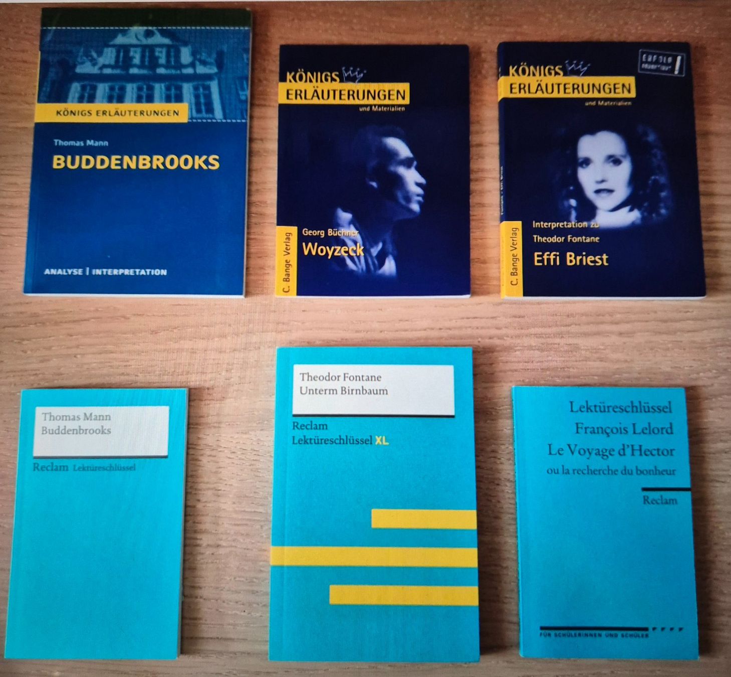 Libri: Literaturschlüssel – Nuovo (secondo la descrizione) da Aesch BL venduto da sar_j59l