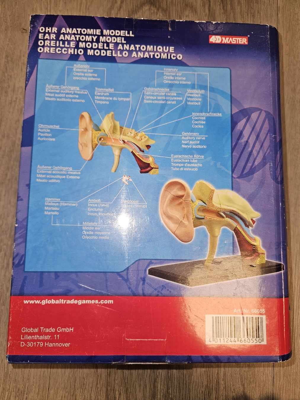 Puzzle: Anatomie 4D Puzzle Ohr – Nuovo (secondo la descrizione) da Naters venduto da fab_2zx8 1