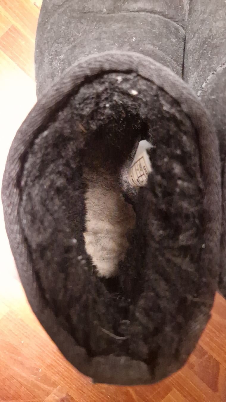 Ugg Damenschuhe: Uggs Mini Boots Gr. 38 – Gebraucht aus Wallisellen von jazie_11 4