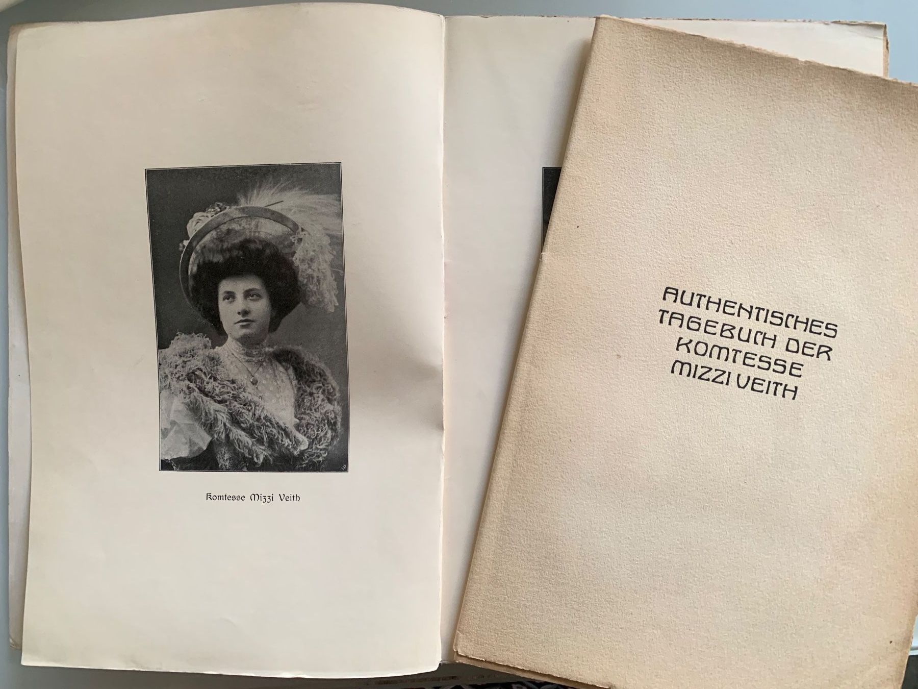 Bücher: Authentisches Tagebuch der Komtesse Mizzi Veith – Gebraucht aus Basel von SusaSandig 2