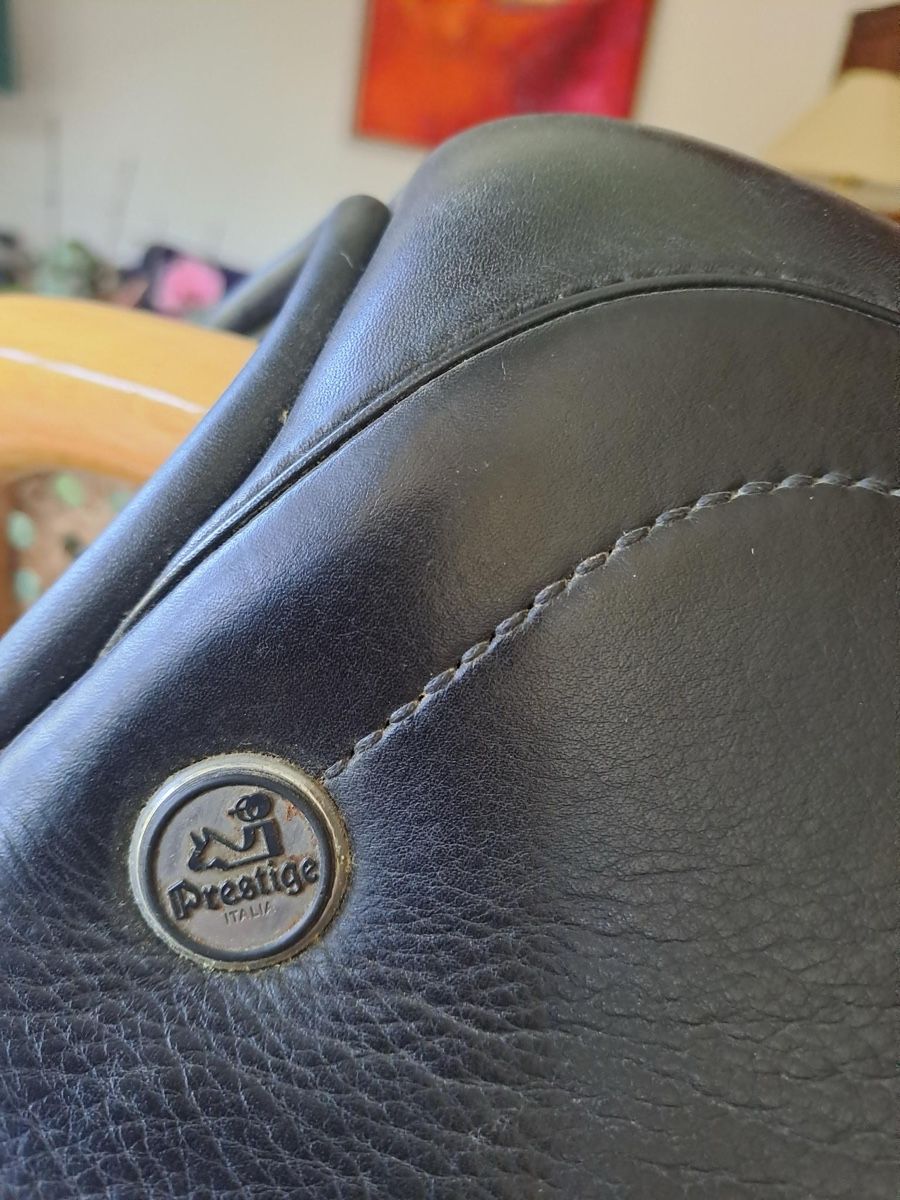 Selles, accessoires: Sattel – D'occasion à Gelterkinden par finian-gawan 1