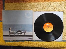 Art Garfunkel Schallplatte Lp - Watermark