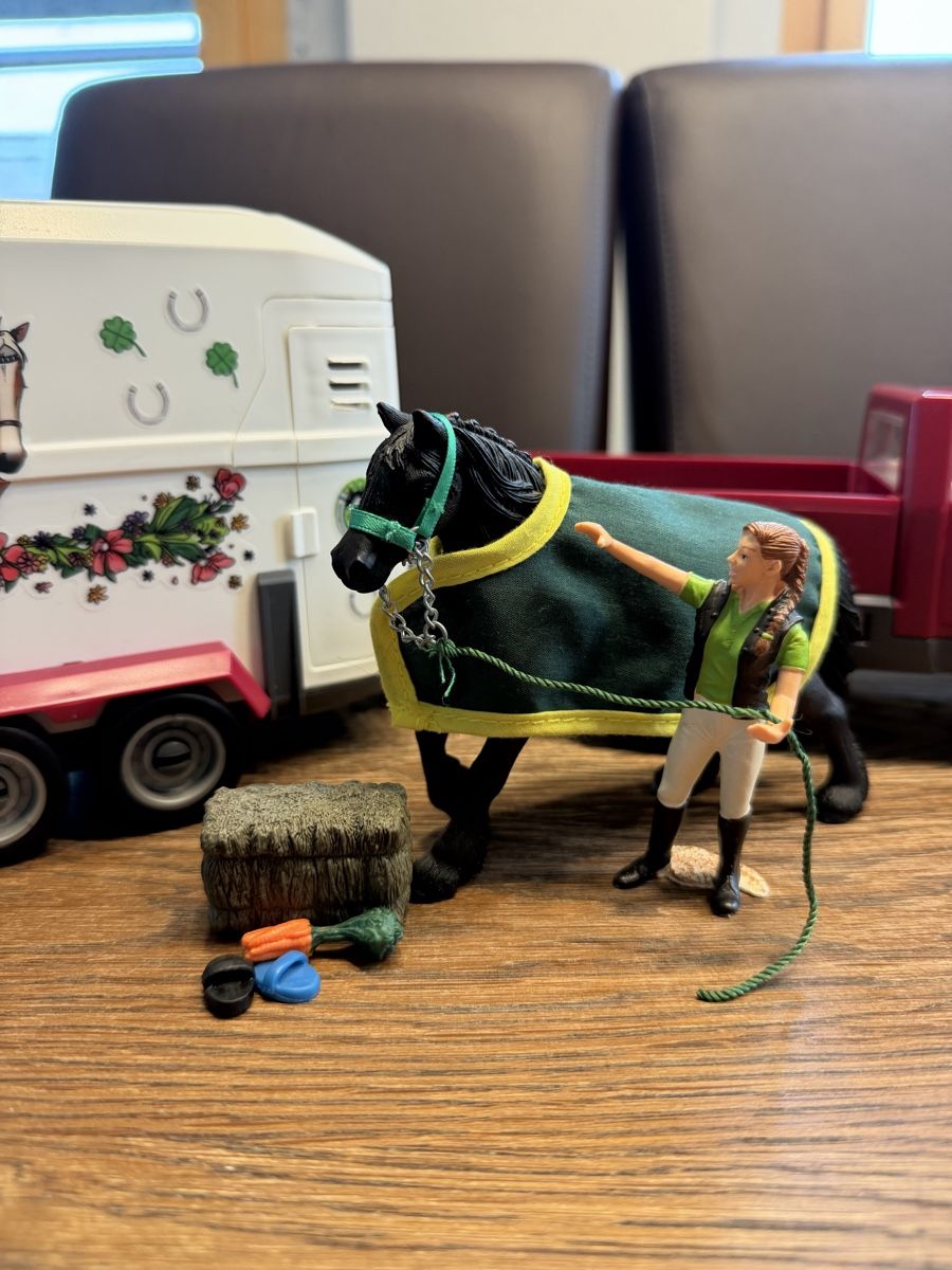 Schleich Giocattoli: Schleich Pick - Up mit Pferdeanhänger – Usato da Auw venduto da grisu81 1