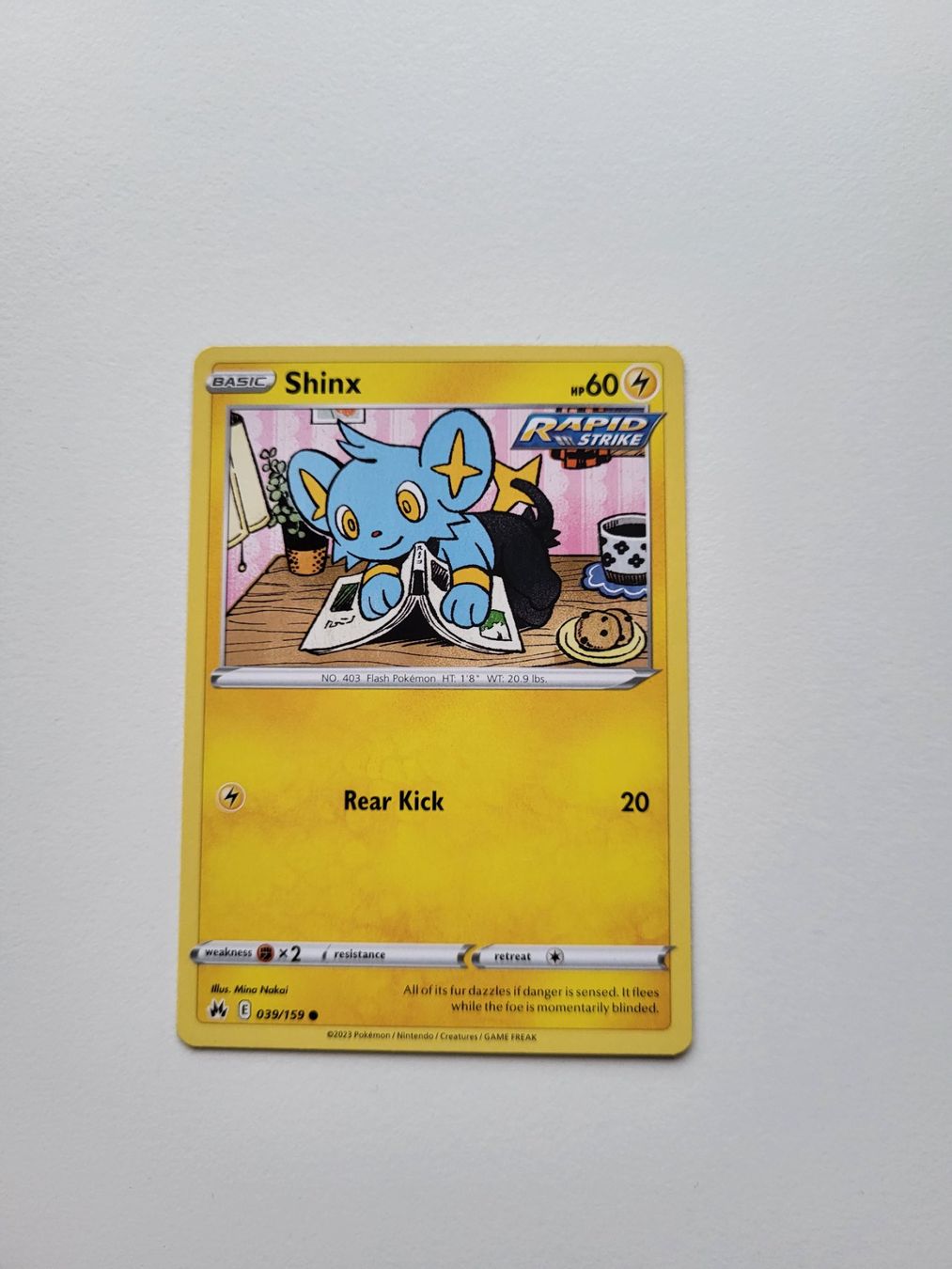 Pokémon Sammelbilder & Trading cards: Shinx (Crown Zenith 039/159) – Gebraucht aus Erlenbach ZH von ram_mjn5