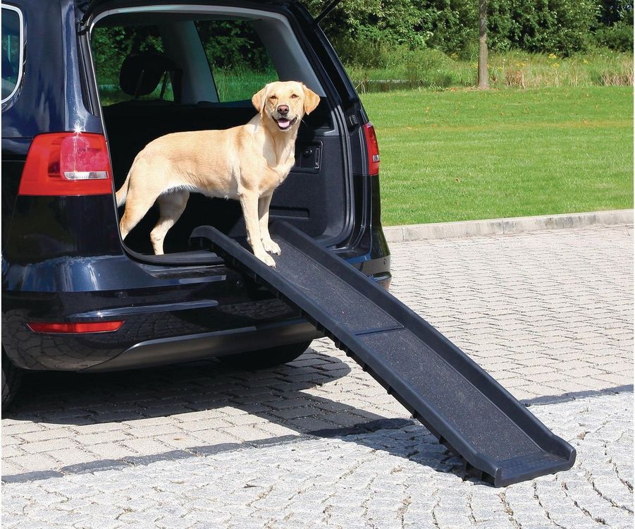 Faszinierend Auto Einstiegshilfe Fur Hunde Bild