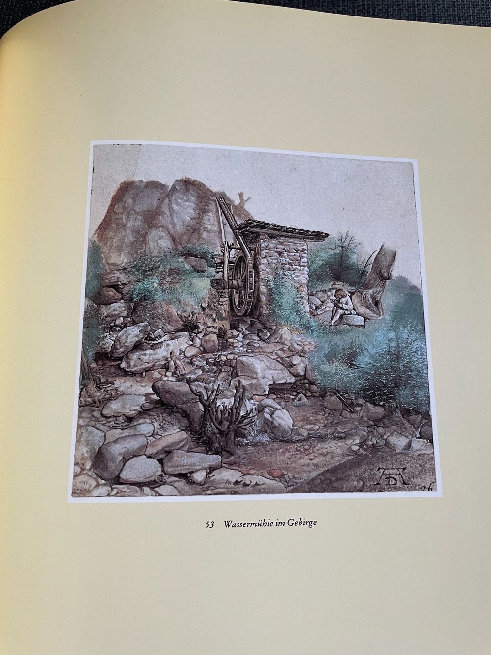 Libri: Libro sull’opera di Albrecht Dürer – Usato da Breganzona venduto da BlueBlue 5