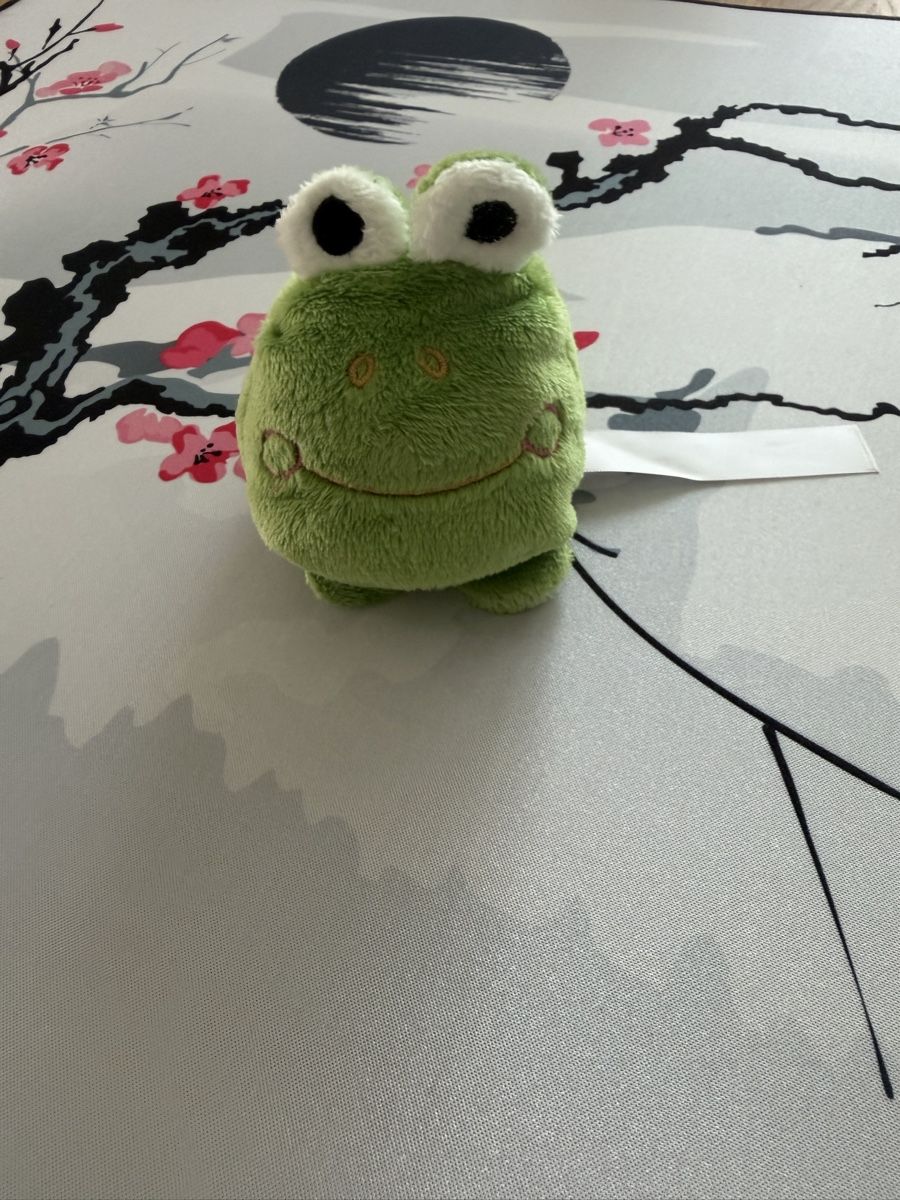 Jouets: Frosch Plüschtier klein – Neuf (Voir description) à Rüti ZH par Thinflame