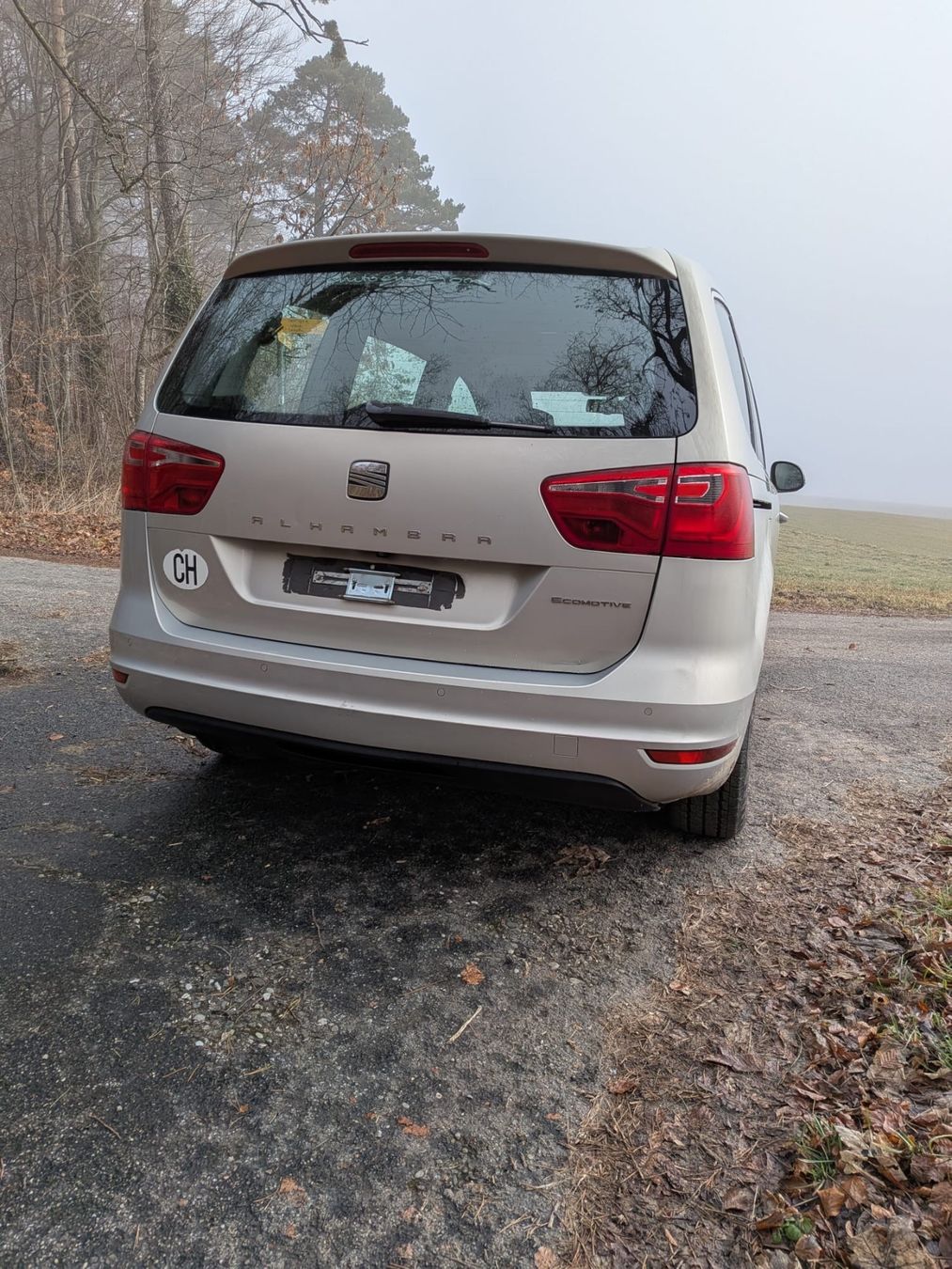 Seat Automobili: Seat Alhambra 2.0D 4M 4x4 – Usato da Wittinsburg venduto da porsche59 3