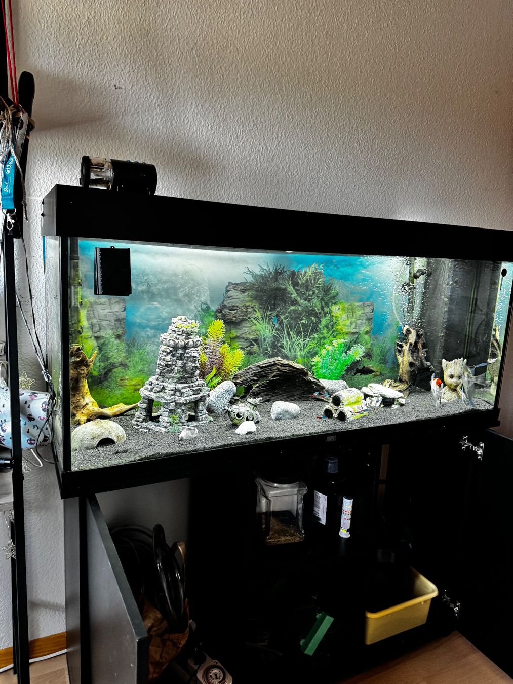 Acquari: Aquarium eau douce – Usato da Lausanne venduto da gre_97wx 5