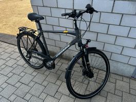 Crosswave Avalon Herrenvelo 56/XL grau