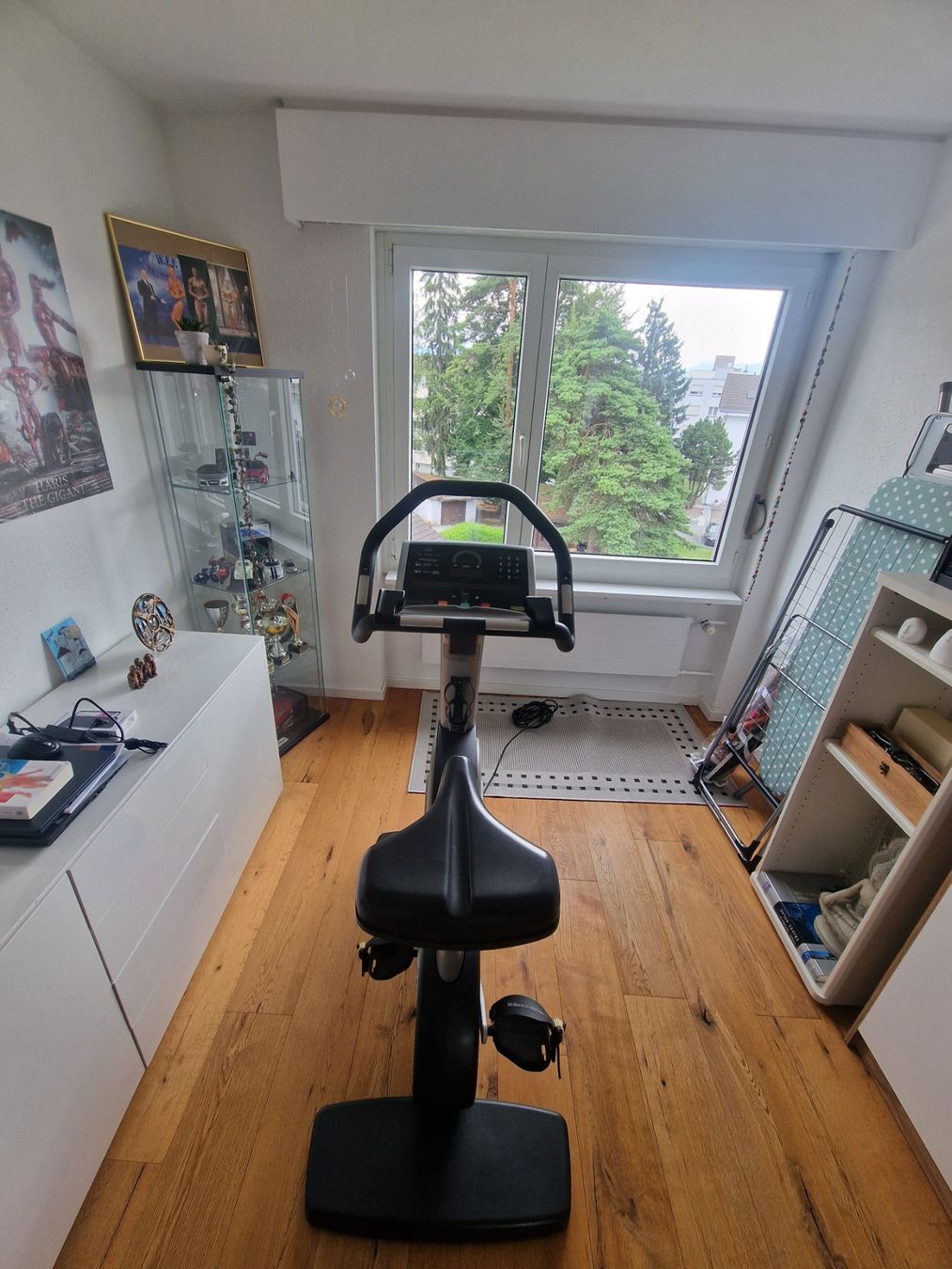 Technogym Hometrainer: Techno Gym Ergobike TOP Zustand – Gebraucht aus Heerbrugg von Haris_O 2