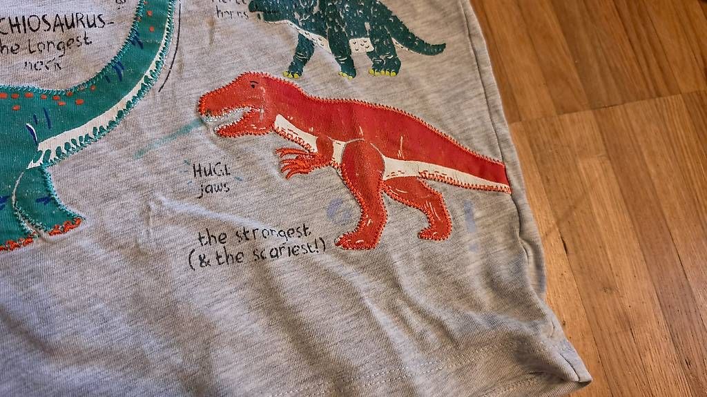 Maglioni & Felpe: Dinosaurier-Pullover Grösse 110/116 – Usato da Weisslingen venduto da debi1992 1