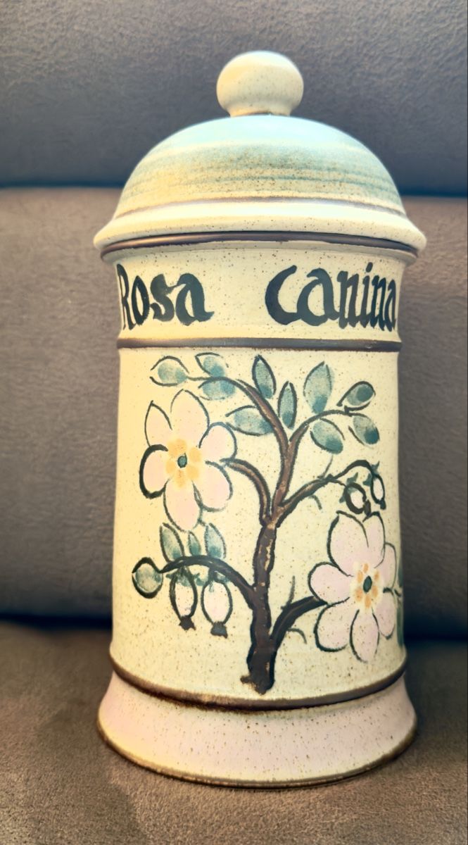 Pentole: Apothekerdose /Topf Keramik "Rosa Canina" – Usato da Widnau venduto da kustercarmen 1