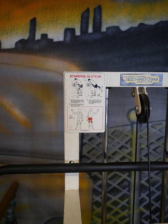 Technogym Hometrainer: Technogym Standinding Glutes / Gesässmuskeltraining – Usato da Arisdorf venduto da G.Friderich 1