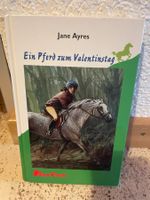 Buch Ein Pferd zum Valentinstag von Jane Ayres Pony Club
