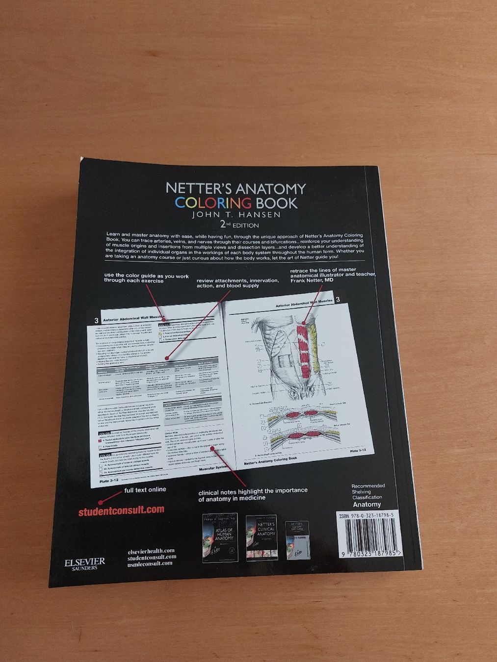 Libri: Netter’s Anatomy Coloring Book – Usato da Stabio venduto da g_collector7 1