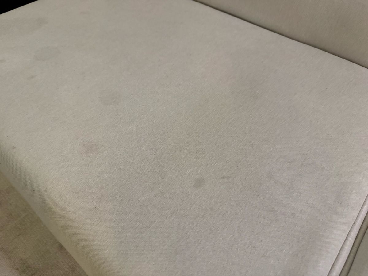 Divani: Sofa Freistil Rolf Benz 141 hellgrau – Usato da Zug venduto da fpv.stef 5