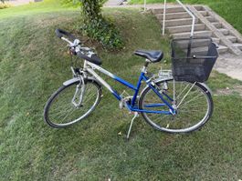 Cresta Fahrrad mit Korb und Shimano NEXAVE 7 Gang gut erhalt