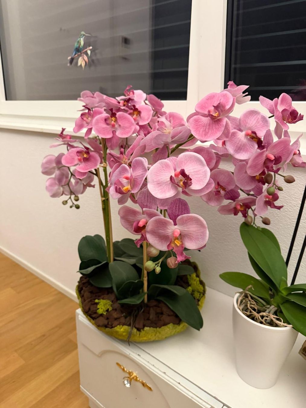 Piante & sementi: Orchideen rosa – Usato da Luzern venduto da Brokiland