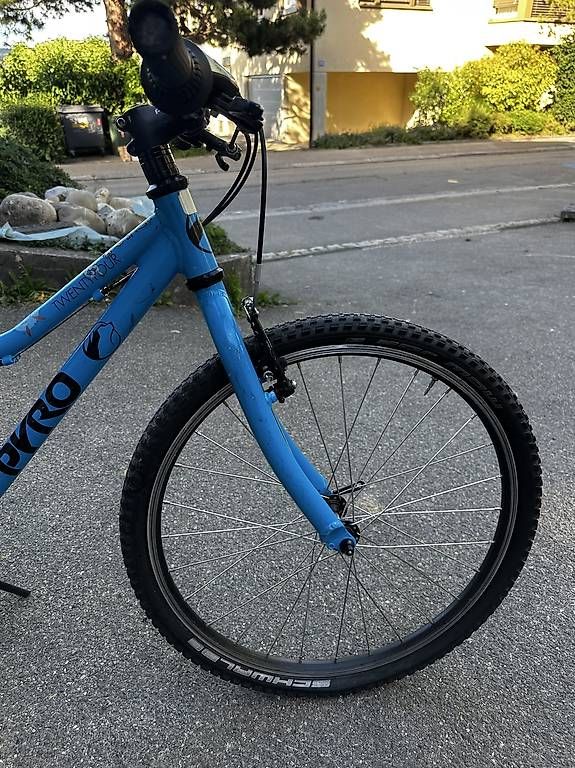 Biciclette: Kindervelo Pyro Blau TwentyFour Small aus erster Hand, – Usato da Zürich venduto da sonnenbluem 3