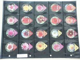 Serie  1274 A     Dahlien