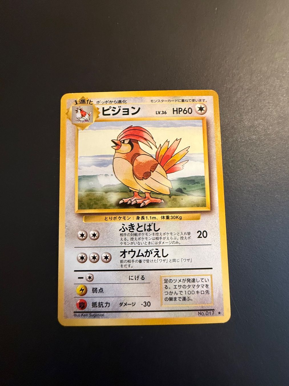 Pokémon Sammelbilder & Trading cards: Pidgeotto No. 017 Base Set – Gebraucht aus Zürich von pokemon_cards