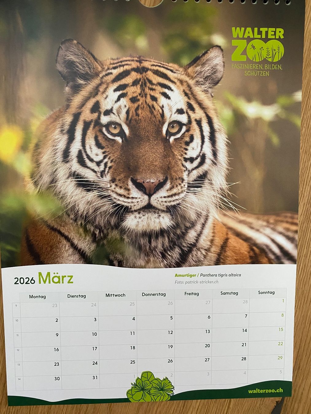 Kalender: Walter Zoo Kalender 2026 – Neu (gemäss Beschreibung) aus Trachslau von RetoM1982 1